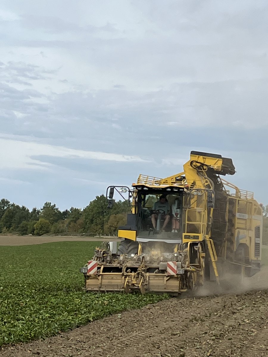 usaa_02's tweet photo. Visite de la préfète de l’Aisne, dans plusieurs exploitations.

- Sécheresse et état des sols
- Betteraves : arrachage difficile, pourritures et parcelles refusées
- Semis de CIPAN compliqués
- Arrachage des pommes de terre
- Colza et préparation de la prochaine campagne https://t.co/OKZKZhANF3