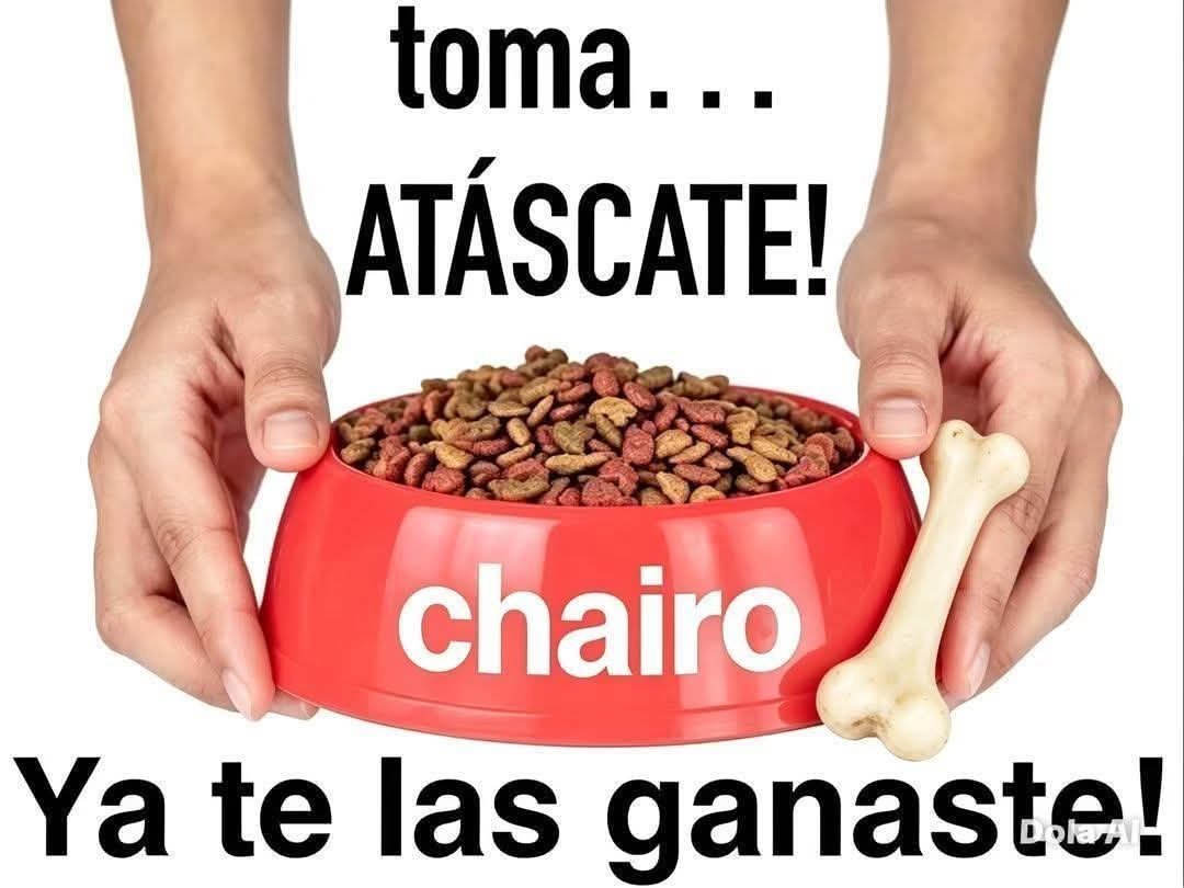 fercasfish's tweet photo. @miss_moxxa92 Lléguele lléguele!! https://t.co/9yAqpmnaKi