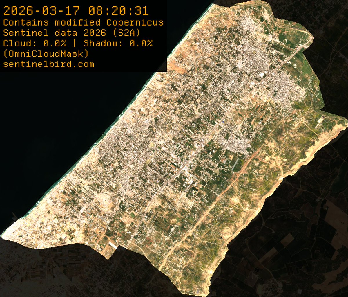 seekersomething's tweet photo. 🧵1/5 Short thread about the Satellite Images of Gaza

There is much focus on the "new" Google Earth images from Gaza that people have just found about, even though the new ones came out already in may 2026. 

However, when taking photos from a satellite of a desert area, with white buildings, in the middle of the summer, makes it so that all contrast goes away in the image and nothing is green. This sells the effect of most of it being rubble, even though it is not true.

Here are images from Sentinel-2 taken on 17 March 2026, showing the four areas of Gaza that is not Rafah. Images from December to March is when Gaza is mostly green. From April to November it looks like a desert (because it is). 
https://t.co/9sDI19pxnQ