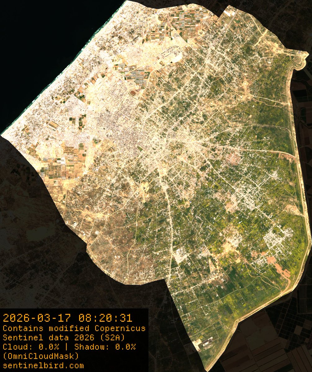 seekersomething's tweet photo. 🧵1/5 Short thread about the Satellite Images of Gaza

There is much focus on the "new" Google Earth images from Gaza that people have just found about, even though the new ones came out already in may 2026. 

However, when taking photos from a satellite of a desert area, with white buildings, in the middle of the summer, makes it so that all contrast goes away in the image and nothing is green. This sells the effect of most of it being rubble, even though it is not true.

Here are images from Sentinel-2 taken on 17 March 2026, showing the four areas of Gaza that is not Rafah. Images from December to March is when Gaza is mostly green. From April to November it looks like a desert (because it is). 
https://t.co/9sDI19pxnQ