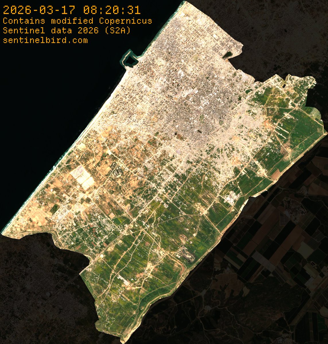 seekersomething's tweet photo. 🧵1/5 Short thread about the Satellite Images of Gaza

There is much focus on the "new" Google Earth images from Gaza that people have just found about, even though the new ones came out already in may 2026. 

However, when taking photos from a satellite of a desert area, with white buildings, in the middle of the summer, makes it so that all contrast goes away in the image and nothing is green. This sells the effect of most of it being rubble, even though it is not true.

Here are images from Sentinel-2 taken on 17 March 2026, showing the four areas of Gaza that is not Rafah. Images from December to March is when Gaza is mostly green. From April to November it looks like a desert (because it is). 
https://t.co/9sDI19pxnQ