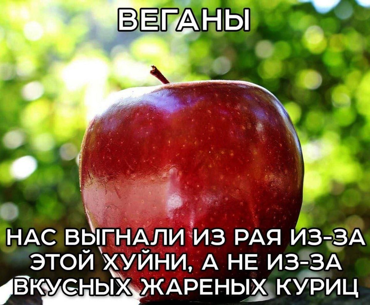 DantesDmitriy's tweet photo. https://t.co/hOo8SgdET7