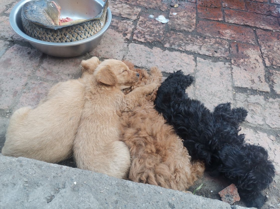 cel_dig6171's tweet photo. [In this tough time, we must stick together to help those in need, no matter how chaotic and difficult the situation is.] https://t.co/hHzMD3UTS2