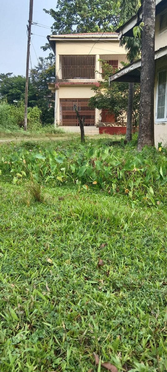 147BNCRPF's tweet photo. ''Swachhata Mein Sahbhag : Swachh Bharat, Viksit Bharat" 27/09/2026
@crpfindia
@HMOIndia
@PIBHomeAffairs
@PMOIndia
@SwachhBharatGov
@swachhbharat
@MoHUA_India
@MoJSDDWS https://t.co/HM5QMPzq5d