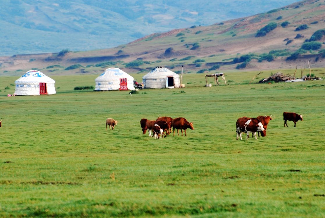 outofofficedaku's tweet photo. #Mongolia now has direct flights from India 

E-Visa can be applied by Indian Passport Holders. Indians are eligible for Mongolia’s K2 tourist e-Visa (up to 30 days) 

1. Link: https://t.co/0hUv6XeXHl
2. Register with adding details + email id 
3. Upload your passport image 
4. Most details will be pre-filled + add the pending details 
5. Upload stay bookings confirmation or tour booking confirmation or if staying with local add confirmation + ID proof of local resident 
6. Add purpose of trip + duration etc 
7. Check details
8.Make visa fee payment
9. Submit the file for processing 
10. Check status of file here: https://t.co/Ky5TSaLGQN

If approved you'll receive electronic authorization on your registered email. 

Alert: Don't use Yahoo or Ymail when registering for your account. 

#DakuVisaUpdates #DakuDIYVisa