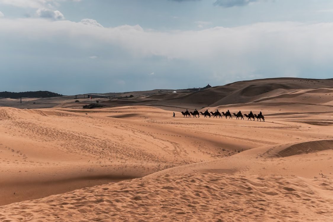 outofofficedaku's tweet photo. #Mongolia now has direct flights from India 

E-Visa can be applied by Indian Passport Holders. Indians are eligible for Mongolia’s K2 tourist e-Visa (up to 30 days) 

1. Link: https://t.co/0hUv6XeXHl
2. Register with adding details + email id 
3. Upload your passport image 
4. Most details will be pre-filled + add the pending details 
5. Upload stay bookings confirmation or tour booking confirmation or if staying with local add confirmation + ID proof of local resident 
6. Add purpose of trip + duration etc 
7. Check details
8.Make visa fee payment
9. Submit the file for processing 
10. Check status of file here: https://t.co/Ky5TSaLGQN

If approved you'll receive electronic authorization on your registered email. 

Alert: Don't use Yahoo or Ymail when registering for your account. 

#DakuVisaUpdates #DakuDIYVisa