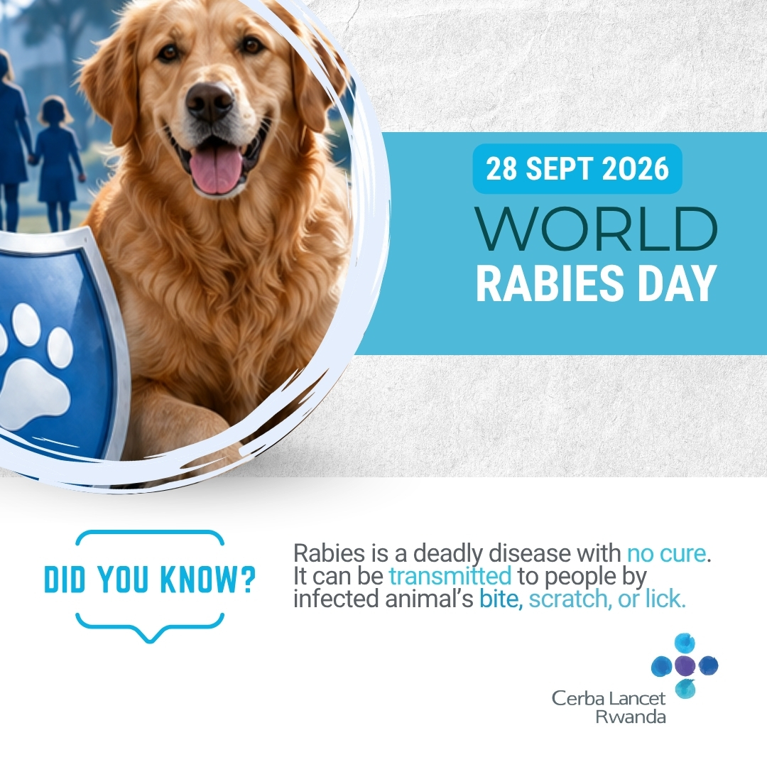 CLRwanda's tweet photo. 🐾 #WorldRabiesDay 2026: Rabies is a deadly disease with no cure once symptoms appear. Prevent it through pet vaccination and prompt medical care after animal bites. 💙 #EndRabies #CerbaLancetRwanda #WorldRabiesDay #RabiesPrevention https://t.co/Rj5G2gqrz0