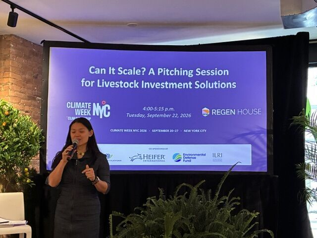 heifer_asia's tweet photo. ⁉️ How do we build a more #ClimateResilient #LivestockSector while recognising the vital role animals play in the lives and livelihoods of billions of people?

This was at the heart 💚 of “Can It Scale? A Pitching Session for Livestock Investment Solutions” at #ClimateWeekNYC, co-hosted by @Heifer  International, International Livestock Research Institute (@ILRI ), Environmental Defense Fund and Global Dairy Platform Inc.

We were particularly proud to see Dilip Bhandari, our Sr. Director of Programs - Livestock Technology and One Health, Asia, takes the stage to present a model that addresses a critical gap in rural communities: access to affordable, high-quality animal health services.