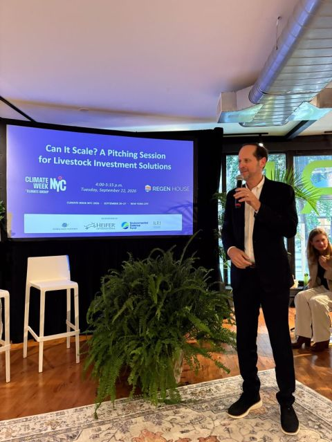 heifer_asia's tweet photo. ⁉️ How do we build a more #ClimateResilient #LivestockSector while recognising the vital role animals play in the lives and livelihoods of billions of people?

This was at the heart 💚 of “Can It Scale? A Pitching Session for Livestock Investment Solutions” at #ClimateWeekNYC, co-hosted by @Heifer  International, International Livestock Research Institute (@ILRI ), Environmental Defense Fund and Global Dairy Platform Inc.

We were particularly proud to see Dilip Bhandari, our Sr. Director of Programs - Livestock Technology and One Health, Asia, takes the stage to present a model that addresses a critical gap in rural communities: access to affordable, high-quality animal health services.