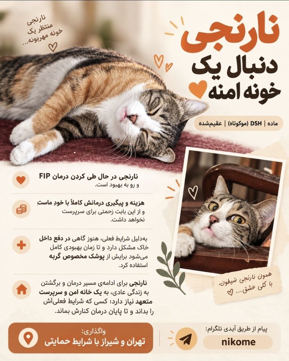 lisasimpsonaa's tweet photo. لطف میکنید ریتوییت کنید ❤️ https://t.co/0GPVfxlJ7p