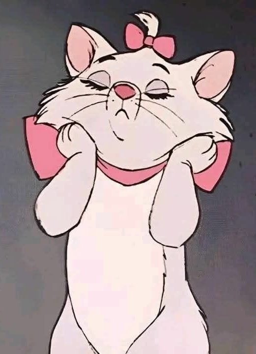 kiriguukie's tweet photo. MY PRETTY KITTY 🎀🩷 https://t.co/86WpuAz4fD
