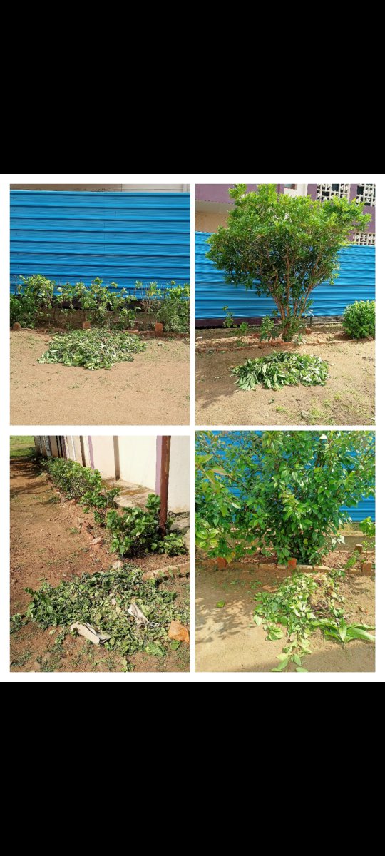 comdt213's tweet photo. Swachhata Hi Seva 
Cleanliness drive at  " School Area"
on 29/09/2026 “Clean surroundings, healthy living—let’s make cleanliness a daily habit.”
@crpfindia 
@SwachhBharatGov
@MoHUA_India https://t.co/s4yIzY6Q2R