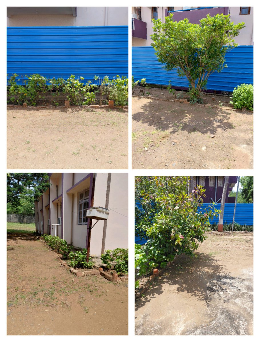 comdt213's tweet photo. Swachhata Hi Seva 
Cleanliness drive at  " School Area"
on 29/09/2026 “Clean surroundings, healthy living—let’s make cleanliness a daily habit.”
@crpfindia 
@SwachhBharatGov
@MoHUA_India https://t.co/s4yIzY6Q2R