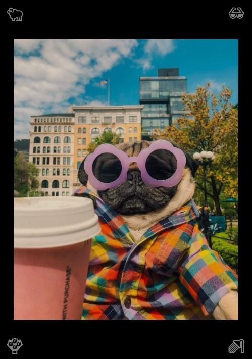 rafif_kjm's tweet photo. 🗼Be dedicated enough to reach dreams.“Goodnight, Lola. I’ll see you tomorrow. And don’t forget to post those selfies—your followers are missing out on your amazing photos.” https://t.co/7wSgp4J1HX