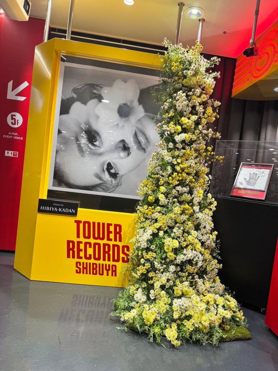 TOWER_Shibuya's tweet photo. 【Ariana Grande】
最新アルバム『petal』国内盤CDが入荷しましたꕤ。
ペタル ジャパン・デラックス・エディションは
7インチ・サイズ紙ジャケット仕様ꕤ
https://t.co/EcbWqlswaE

6Fにスペシャルフォトスポットが登場！
素敵すぎます…ꕤ
ぜひたくさん写真撮ってください。
📍tower vinyl shibuya
📅until october 5
#arianagrande