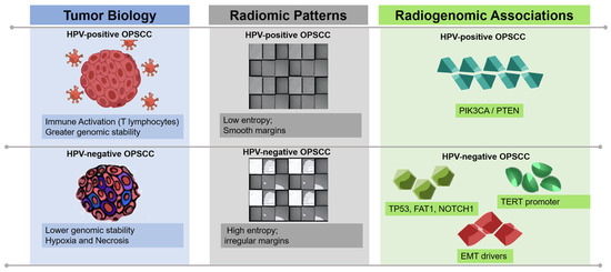 medsci_MDPI's tweet photo. 🧬 Can imaging reveal tumor biology in oropharyngeal cancer? A Medical Sciences review explores #Radiogenomics across CT, MRI and PET/CT, including links to HPV status and treatment outcomes. Further validation is needed before clinical use. 

https://t.co/2H3amGlXZq https://t.co/GuUC8JI4Bt