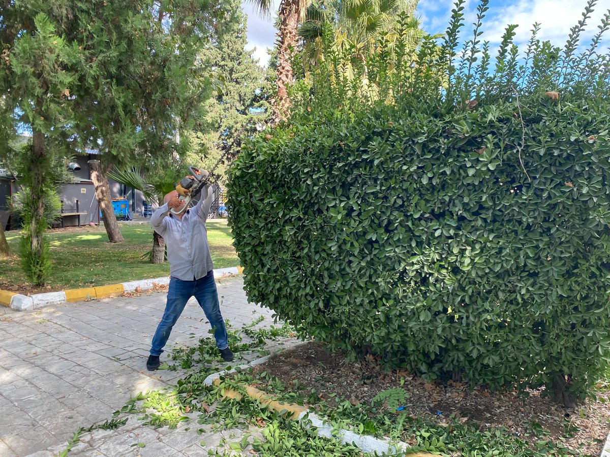 Karakoprubel's tweet photo. 🌳 Ağaçlar Budandı ✅

🌱 Çimler Biçildi ✅

Daha yeşil, daha düzenli ve daha güzel bir #Karaköprü için ekiplerimiz sahada.

#Şanlıurfa 
#KaraköprüBizimEvimiz https://t.co/XUxar0FhKp
