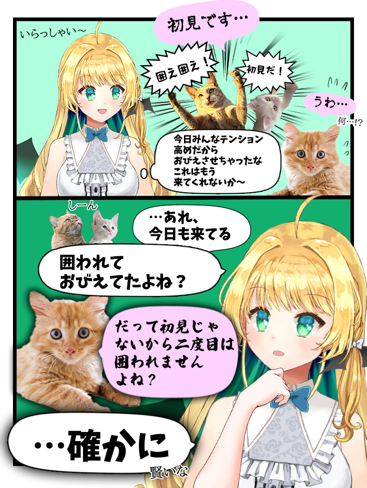 midorimacarol's tweet photo. Q.　初見が入りやすい配信にするためにはどうしたらいいですか？

A.　入ってこれる奴以外振り落としていけ https://t.co/U4WNraobbo