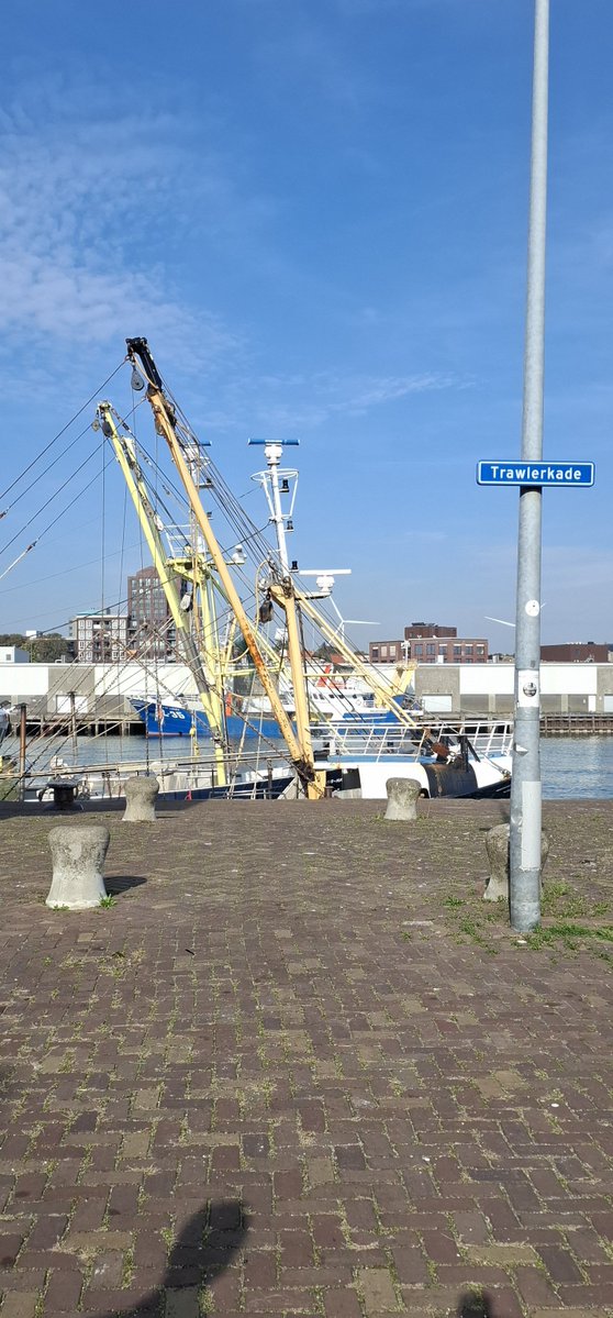 wilma_prins's tweet photo. Goeiemorgen 🥐 ☕️
#ijmuiden #haven https://t.co/yEwwbPM8rQ