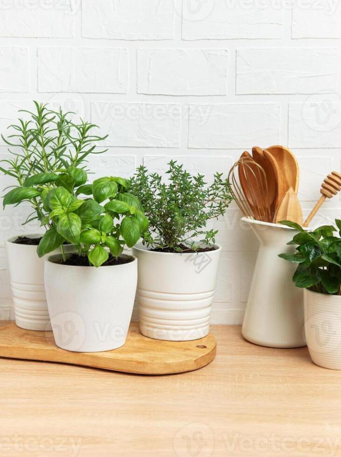 ShanekaAls95xr's tweet photo. Turn old glass jars into cute herb planters—no fancy supplies needed! Great for tiny kitchen spaces. https://t.co/UHX4ursbu2