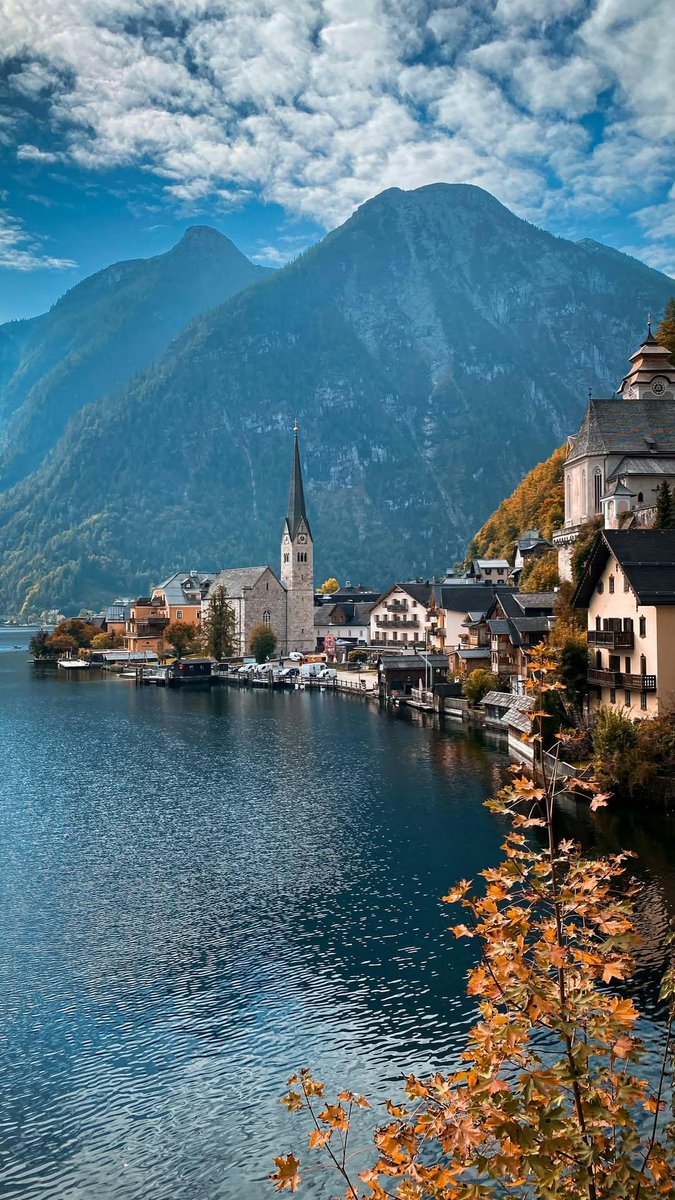 naturebeauty760 tweet picture