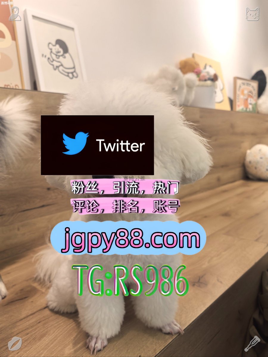 Uncivil8's tweet photo. 愿你生活安稳内心丰盈日子平淡也幸福🦮
推特账号购买代发 
软件获客、海外推广、流量增长 注册号 保亭点赞号
海外流量、品牌推广、社媒营销信阳 驻马店 漯河 三门峡 鹤壁 济源 世界杯
自动脚本宁国 霸屏🪐群发私信💐海外获客🍀🐦 https://t.co/QAHUoddPIb