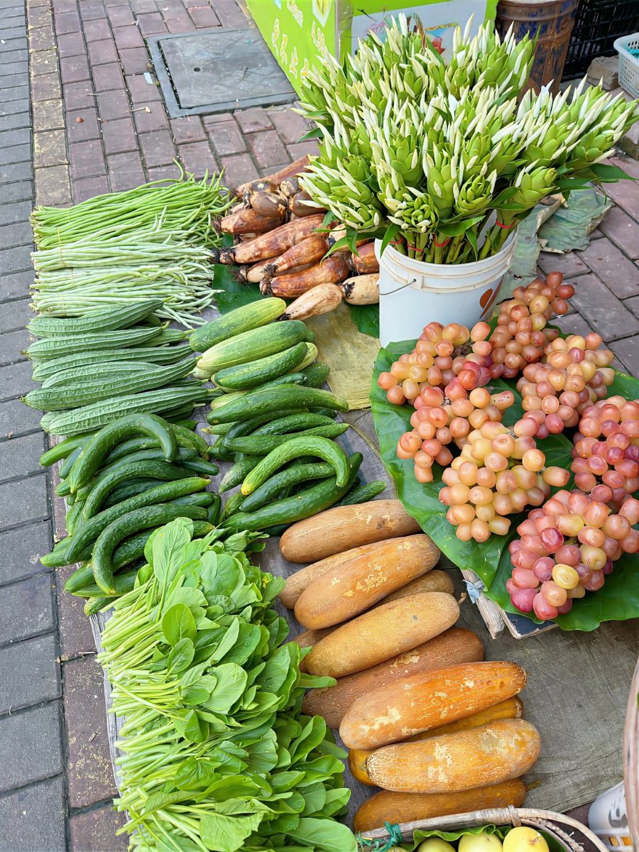 larsemil231425's tweet photo. Fresh seasonal veggies u0026 organic eggs restocked at our market stall! Grab them for your weekend cooking today—local, affordable, and super tasty! https://t.co/91b8uOZxi3