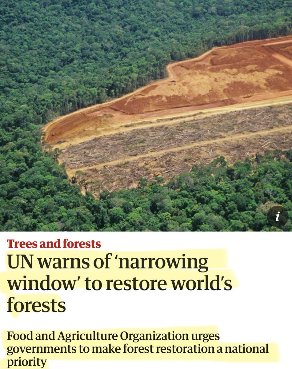 Artemisfornow's tweet photo. Er hello? Does the UN think we are stupid? 

The UN says too many forests are being destroyed at the same time as they demand a faster  Net Zero transition!

Which er … has

▪️ fuelled a boom in balsa wood from the Amazon for wind turbines

▪️And then there’s the 13km road cut through protected rainforest near the host city of COP30.

▪️Oh and then there were the 17.3 MILLION trees cut down in Scotland for wind turbines

▪️And then there’s the nickel for EV batteries from Indonesia and the loss of 76,000 hectares of forest 

▪️But the best example of bollocks is of course DRAX! Which BURNS about 7 MILLION tonnes of wood a year!

I could list hundreds more examples but you get the point.

Brilliant! destroying forests while demanding everyone stops destroying forests isn’t quite the masterplan they think it is.