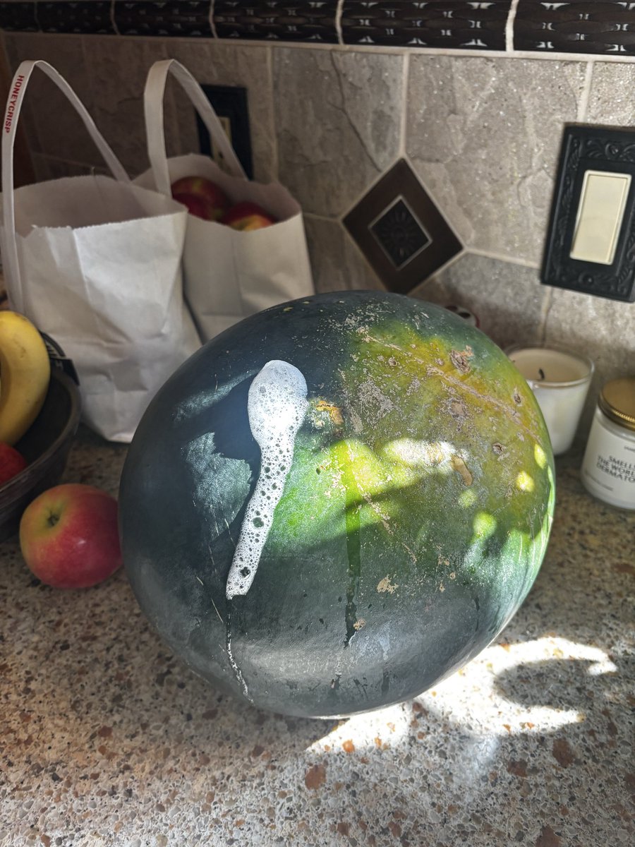 TheFanManSays's tweet photo. “Mumma, I am sorry to tell you but the watermelon is throwing up” 

The watermelon: https://t.co/fASNeQh06j