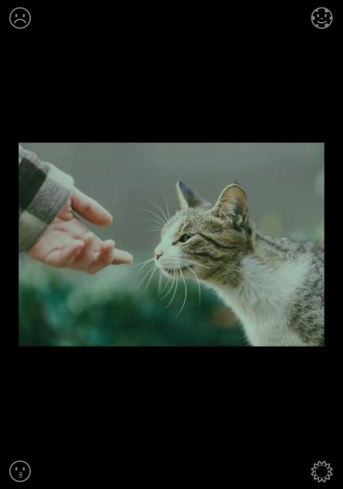 Edets4's tweet photo. 🦄Production is in full swing! Quality is our top priorityCourage means taking action even when nervousness lingers in your mind. You do not need fear to vanish fully to move ahead. Step forward little by little, and bravery will clear all your messy worried thoughts. https://t.co/xtTgzUI96T