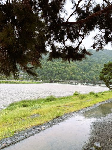 kazenoeki's tweet photo. 【注意！】
河原町五条のバス停に
「990円くれ」おばさん（お婆？）が出没したそう。
お客様が金額に吃驚して
「ないよ」ゆうたら「ないんか」と
上から目線で吐き捨て。
立派な身なりをしていたそうです。
気を付けて！！
きっとお釣10円も返ってこない😢

#風の駅 #京都 #嵐山 #渡月橋　#京都市バス https://t.co/6S2E8BDhBh
