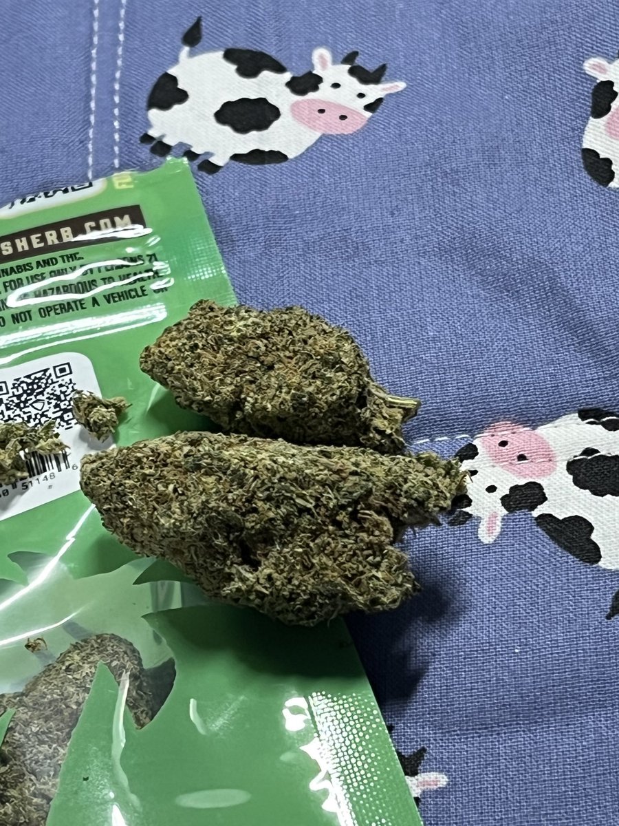 cannabisFranc's tweet photo. Weed op rapide/Discret
Télégram: https://t.co/OlMEChrBre
#weed #shit #Paris #Pointivy #Toulouse #Bordeaux #Marseille #Rennes #Ploërmel #Lille #Saintes #Avignon #Rouen #Arcachon #Morlaix #Libourne #poitiers #Dijon https://t.co/1ITzvt1BNm