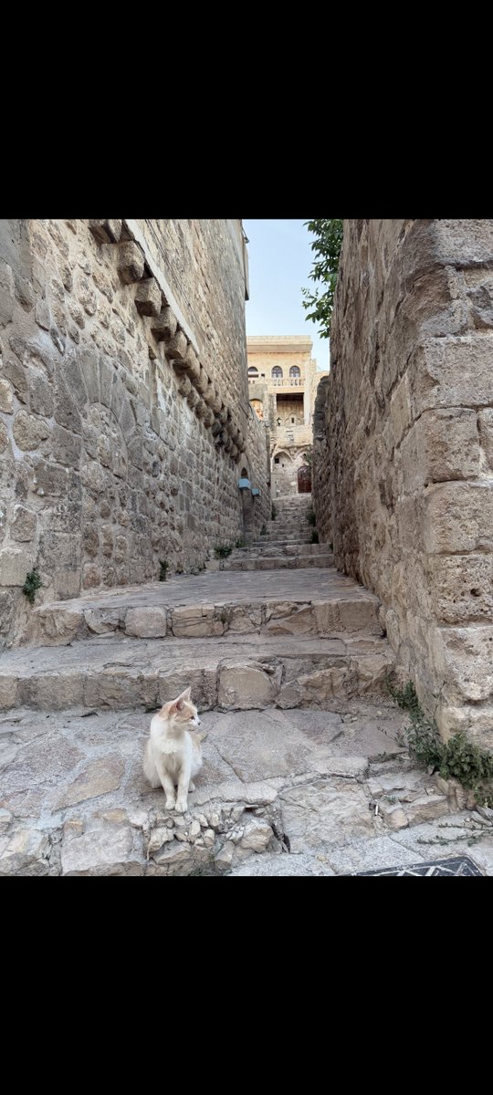 mardinAntik's tweet photo. #Mardin https://t.co/AFYjIltkXb