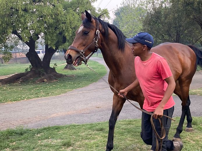 HevershamPark's tweet photo. I HAVE A JOB TO DO!
Gustav Klimt (Galileo) on his way to the covering shed with handler, Mo Kgopa. #gustavklimtstallion #Heversham #hevershampark https://t.co/tAKNjTvrG9