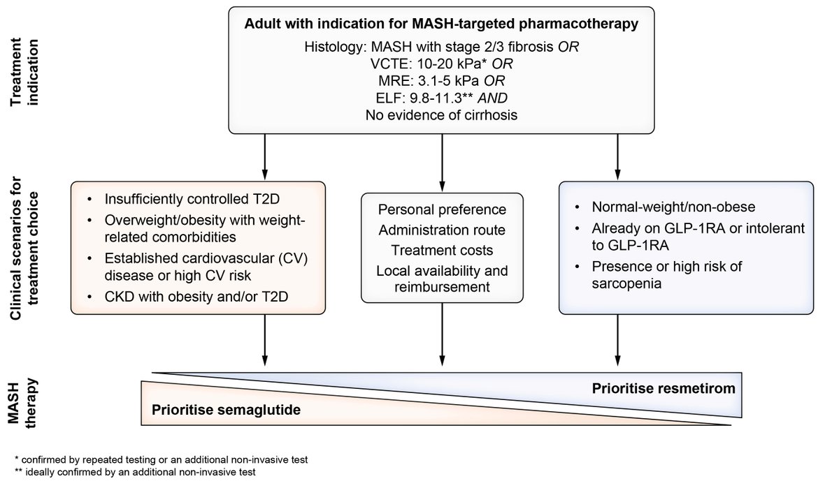 JHepatology's tweet photo. 🆕 EASL-EASD-EASO guidance on resmetirom and semaglutide as #MASH-targeted therapy
💉#Semaglutide: preferred in patients with obesity, T2D or high cardiovascular risk
💊#Resmetirom: prioritised in those without obesity or unable to use GLP-1RAs
🔗https://t.co/od1gbcOKNA https://t.co/odszJHcUCS