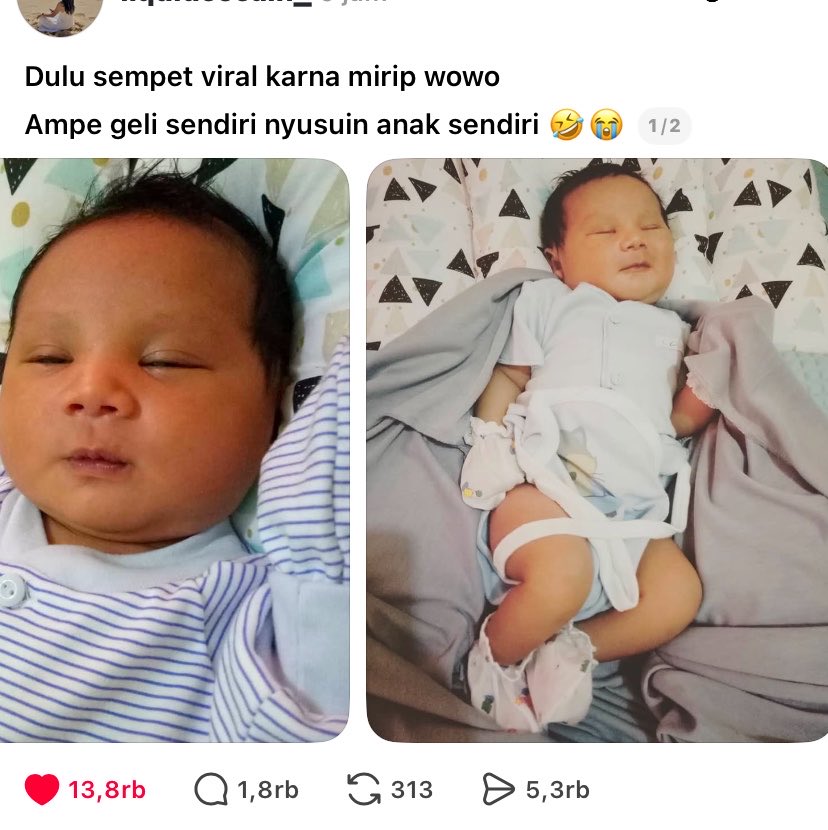 sehyrui's tweet photo. ini rill yaa bukan AI 😭 ibunya sampe geli nyusuin anaknya 😭 https://t.co/eIFcLivhCD
