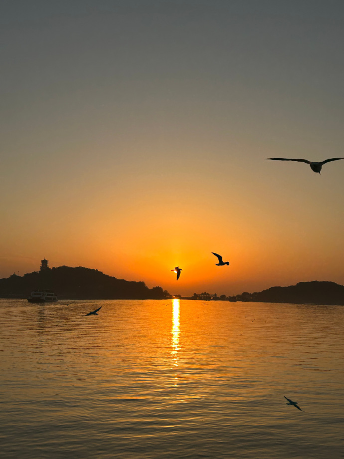nyxtrx134's tweet photo. Under the slanting sun, the elliptical lake surface glimmers softly, with a seagull skimming low over the water, catching the bright light. https://t.co/uBwZ88PGFi