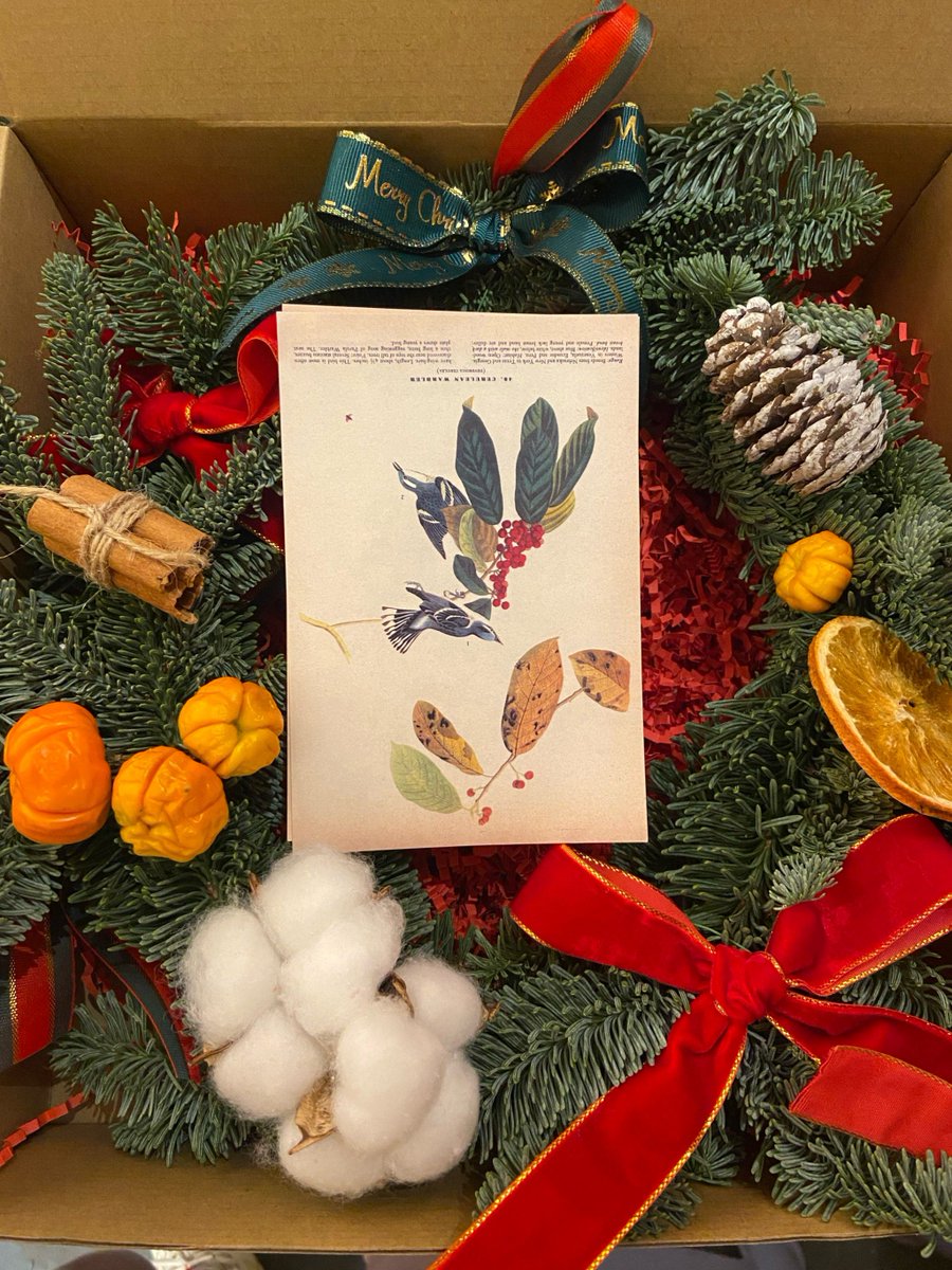 d70fd_817's tweet photo. [Today, I bought a retro lamp with thistle patterns on wax paper for my warm Christmas setup!]， https://t.co/4PjmuA6Lmo