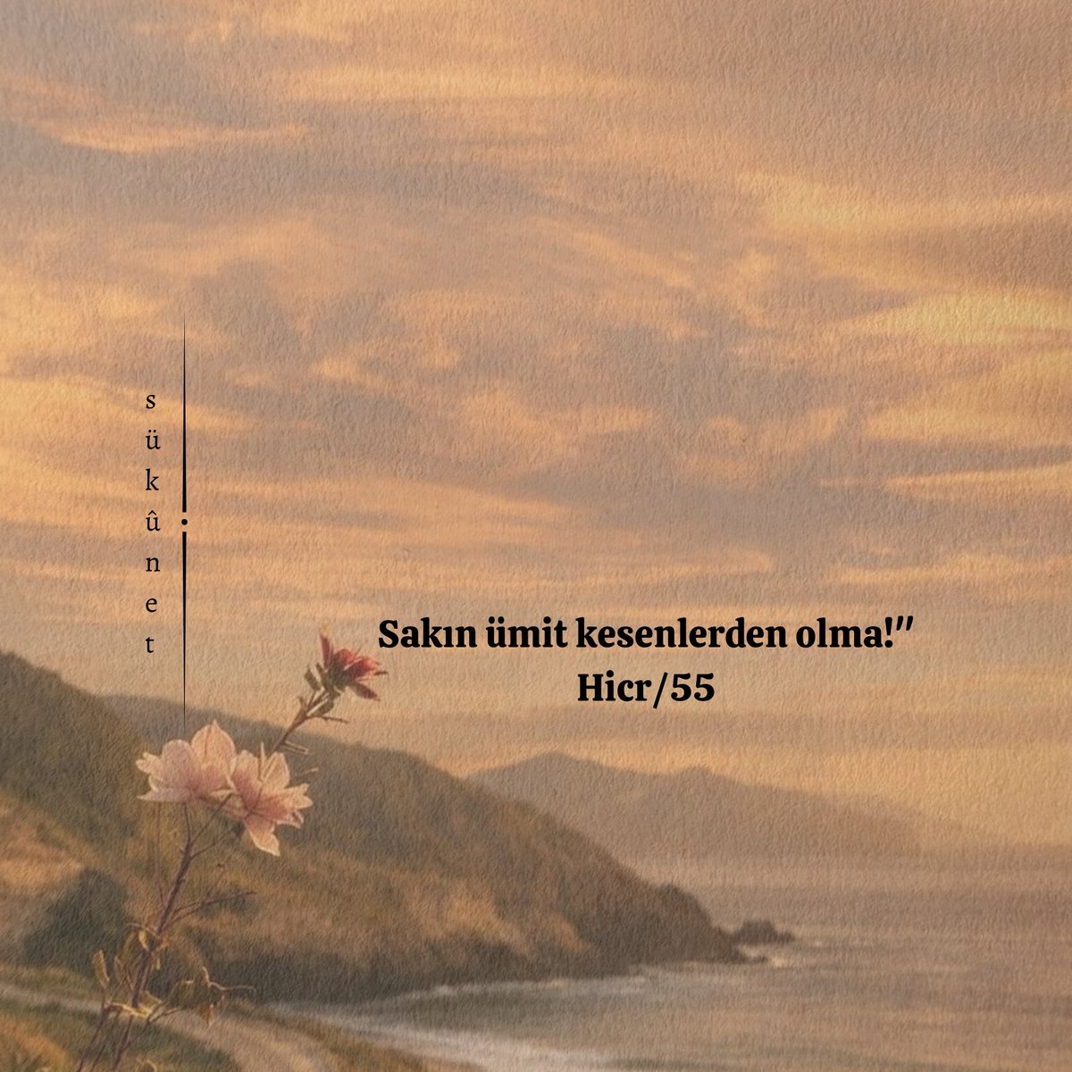 sukunnettt's tweet photo. •sakın ümit kesenlerden olma. https://t.co/dU2n6MNH0t