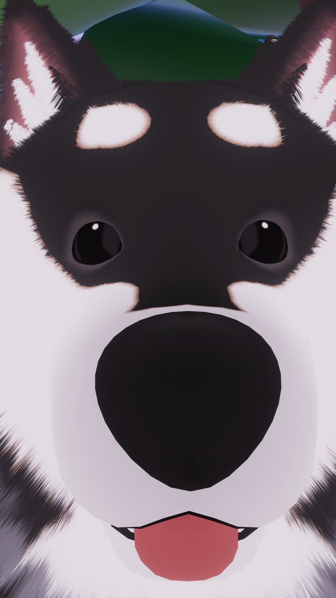 Kita_VRChat's tweet photo. 昨日の営業中に撮ってたはるーち置いときます
可愛さのノリの良さが大好きです https://t.co/JFeuRqUSOP