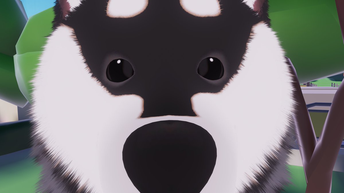 Kita_VRChat's tweet photo. 昨日の営業中に撮ってたはるーち置いときます
可愛さのノリの良さが大好きです https://t.co/JFeuRqUSOP