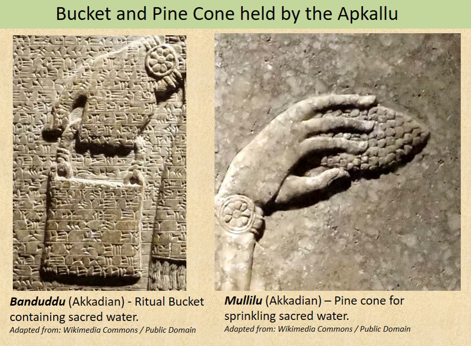 JasonWilde108's tweet photo. People constantly blab away about the ancient buckets and cone shaped objects. 

Here is what they are.

The bucket was called the banduddû; literally meaning bucket. 

The object in the other hand was called the mullilu, which basically means “purifier.”

The Assyrians understood them as equipment used in a specific ritual act. 

The bucket appears to have held sacred water, while the mullilu was used to sprinkle or apply it. 

You repeatedly see the action directed toward the king or sacred trees and doorways as well as important spaces.

And who keeps carrying this stuff?

The Apkallu.

We have actual Mesopotamian images of fish cloaked Apkallu carrying the bucket and cone. 

We also have the famous winged and bird headed protective figures doing the same thing. 

They were associated with purification and protection, as well as sacred knowledge and maintaining order.

The Apkallu weren't usually shown sitting around being worshipped. They are constantly doing shit. They are guarding entrances and are performing rituals. They are also protecting the king. They are interacting with this strange sacred tree imagery.

The cone itself still isn't completely understood. It may have represented a pine cone or the flowering part of a date palm. The exact object is debated. 

The Assyrians literally called it a purifier.

So when you see these images, try not to see some winged mythological creature carrying a purse and a pine cone.

The people who made these carvings understood exactly what was happening.

An Apkallu was performing a job.