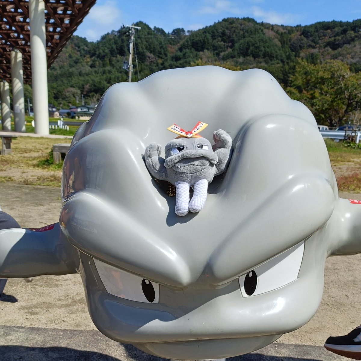 sono_stay's tweet photo. 自立しないので寝そべり https://t.co/3Xx9HGEjVD