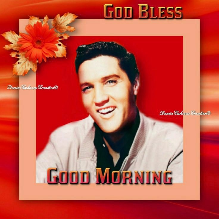 denisecahoon4's tweet photo. Good Morning/Afternoon
Precious #ElvisFriend
Hope You Are Well
Have A Terrific Day
#TuesdayBlessings
🌈🕊☕🌴☕🕊🌈 https://t.co/M6PLW35pxH