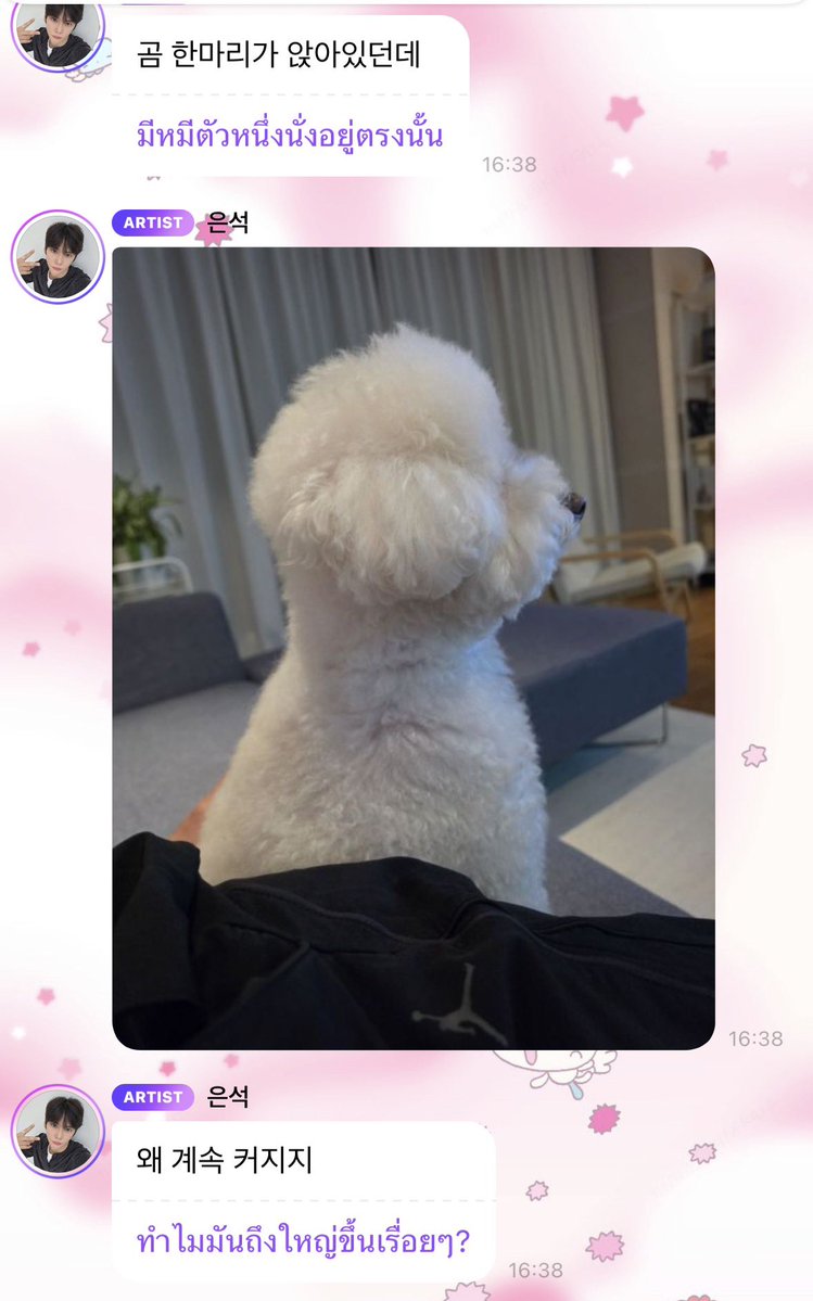 skipthebread's tweet photo. น้องอึนซอกบอกว่ามีหมี 🐻 นั่งอยู่ข้าง ๆ (ชาร์ลี) 😂 ทำไมชาร์ลีตัวใหญ่ขึ้นเรื่อย ๆ 55555555555555565666565 https://t.co/P4CMzcB2pY