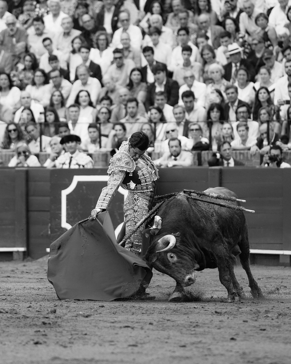 TQuifes's tweet photo. ¿Y si fue la última en Sevilla?
Nadie lo sabe. Ni siquiera él. https://t.co/Z5p1Q1lg76