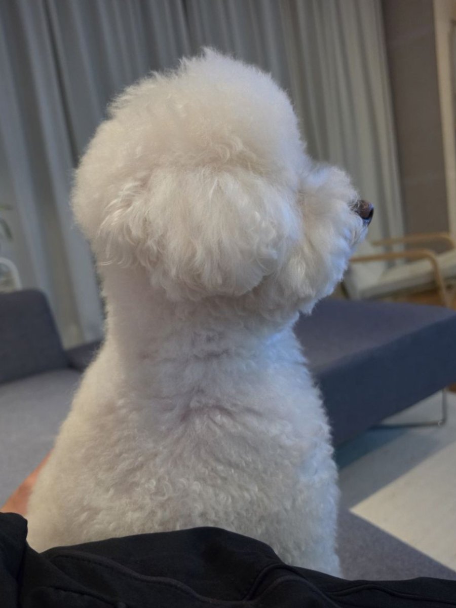 LilStonnie_'s tweet photo. แล้วตัวเองต่างจากพี่ชาร์ลียังไง https://t.co/j7hsMhXSua