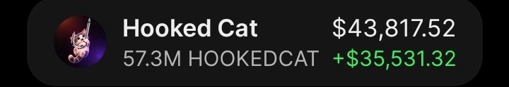 1_ALPHADESK's tweet photo. $HOOKEDCAT Printing on my private tg 🚀 https://t.co/9aX9L95f3K