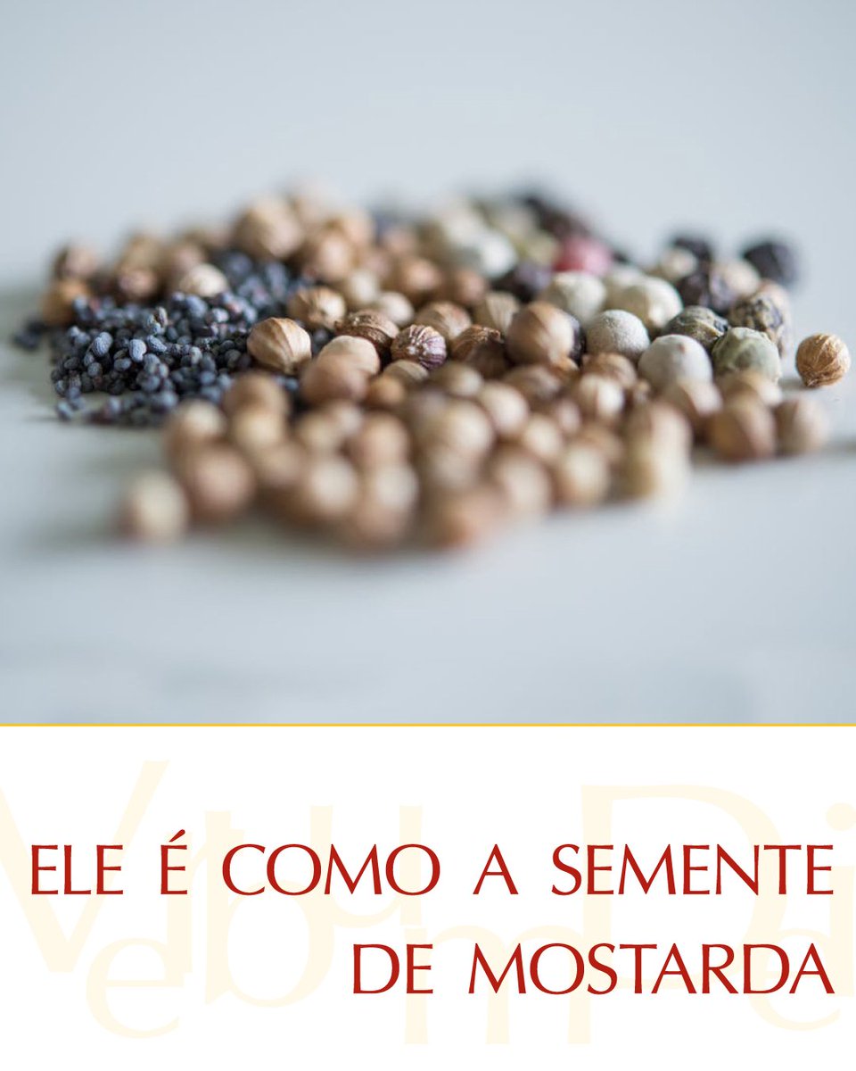 vaticannews_pt's tweet photo. Naquele tempo,
Jesus dizia:
"A que é semelhante o Reino de Deus,
e com que poderei compará-lo?"
#EvangelhodeHoje Lc 13,18-21
https://t.co/u24oAaxD8a https://t.co/0ZiG5EPnP3