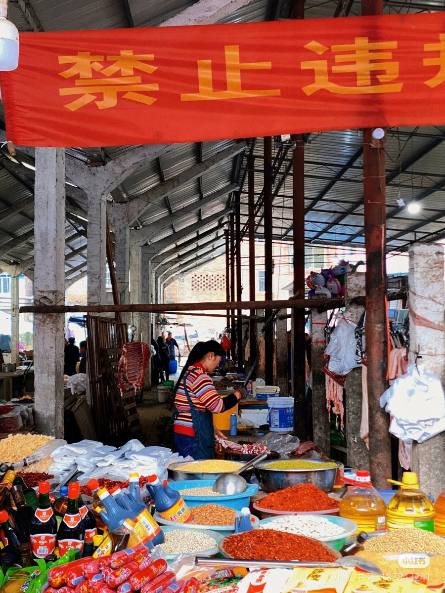 vzntrin508's tweet photo. In the bustling market, the duckweed floats on the water, the eloquent words ring out, tomatoes are stacked high, and the currency circulation is brisk. https://t.co/uXutMkT3Fw
